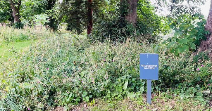 View of the Wilderness Garden at The Auckland Project, Bishop Auckland